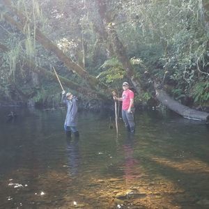 Meet your Posher, Nicholas